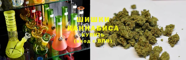 винт Аркадак