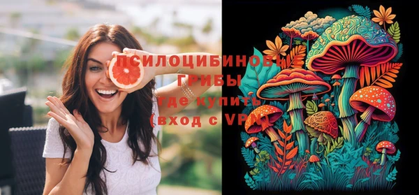 винт Аркадак
