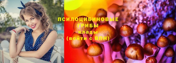 MDMA Армянск